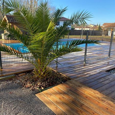 Ensemble De 3 Villas Avec Piscine Chauffee, Esprit Detente Sanguinet Eksteriør bilde